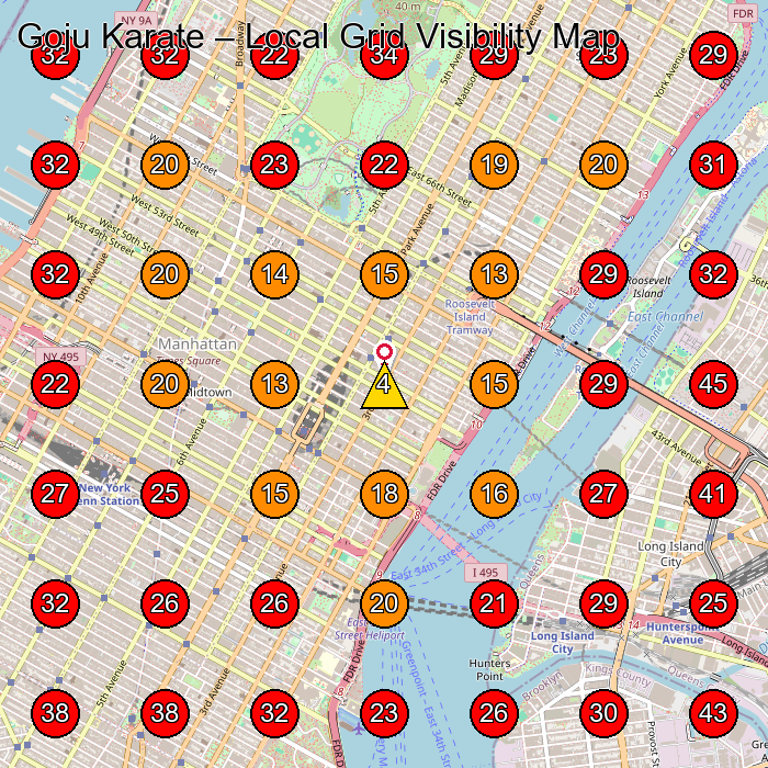 Goju Karate GeoGrid visibility map for Martial Arts School in New York